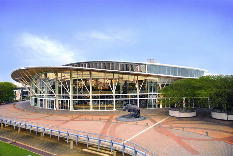 durbanicc1